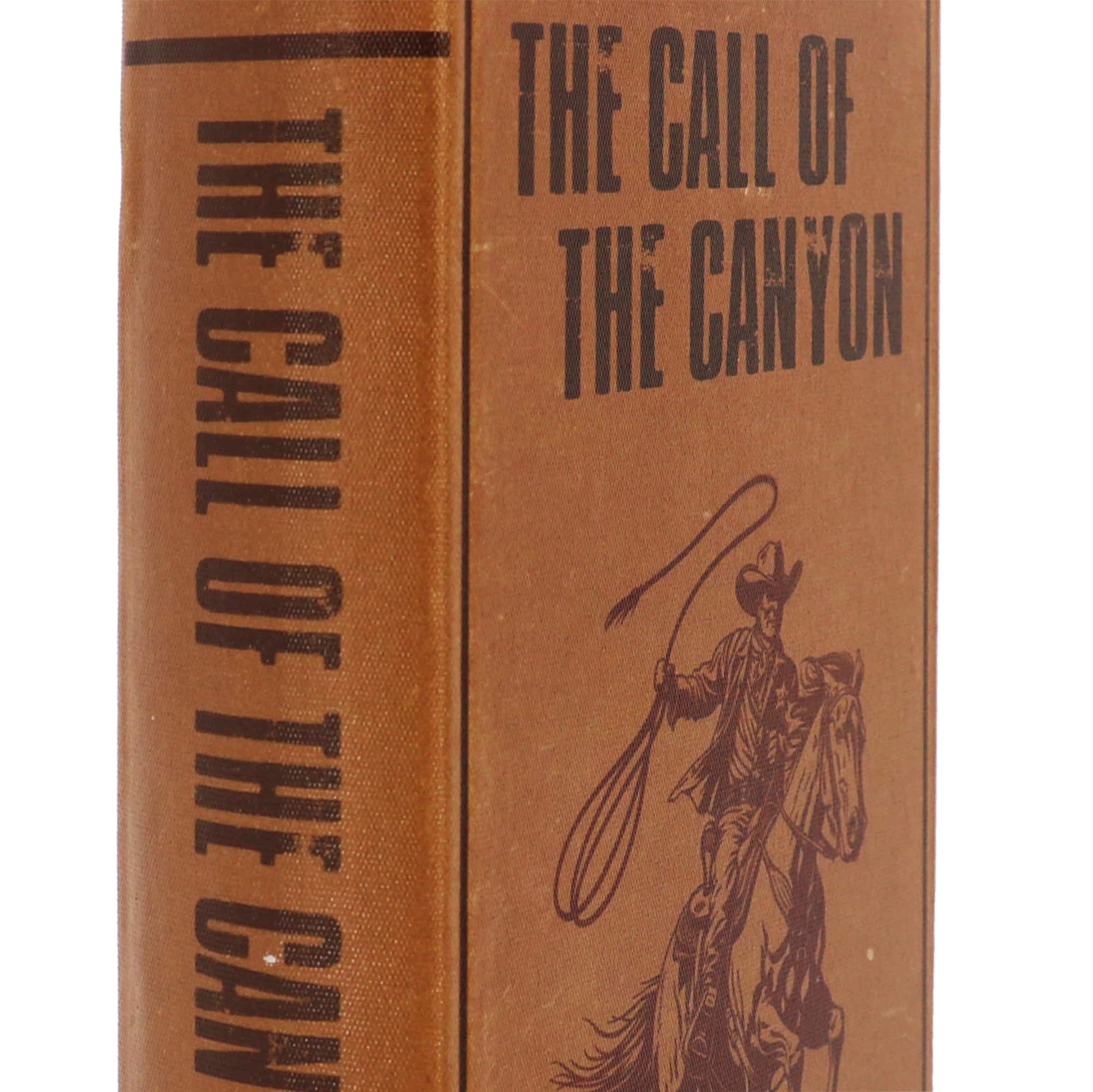 Medium Brown Call of the Canyon Book Box by Ashland®
